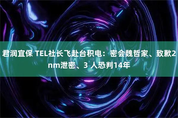 君润宜保 TEL社长飞赴台积电：密会魏哲家、致歉2nm泄密、3 人恐判14年