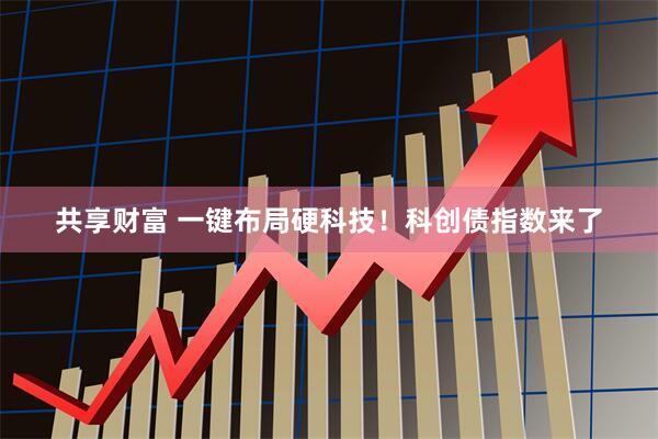 共享财富 一键布局硬科技！科创债指数来了