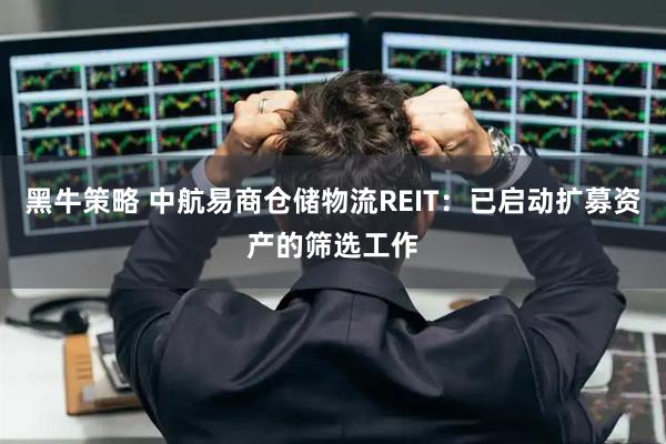 黑牛策略 中航易商仓储物流REIT：已启动扩募资产的筛选工作