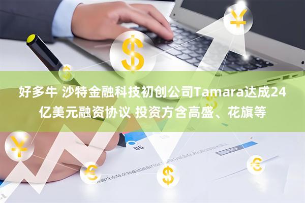 好多牛 沙特金融科技初创公司Tamara达成24亿美元融资协议 投资方含高盛、花旗等