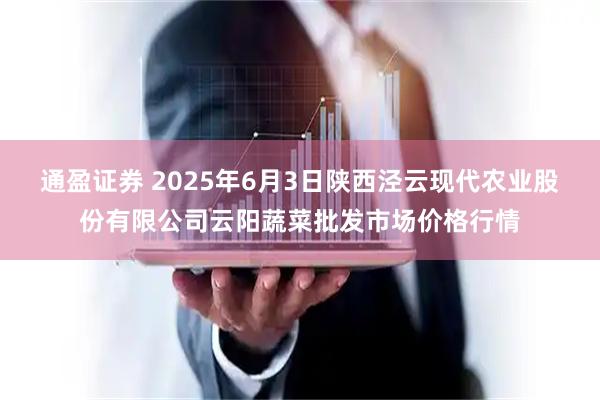 通盈证券 2025年6月3日陕西泾云现代农业股份有限公司云阳蔬菜批发市场价格行情