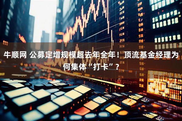 牛顺网 公募定增规模超去年全年！顶流基金经理为何集体“打卡”？