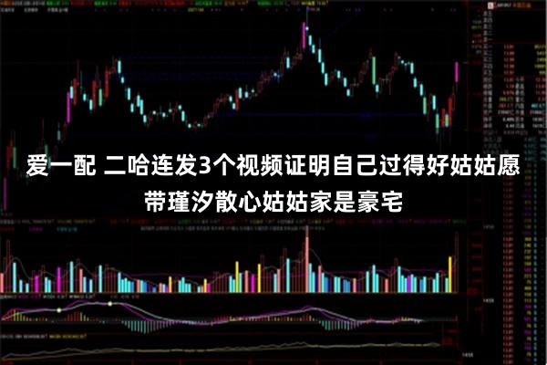 爱一配 二哈连发3个视频证明自己过得好姑姑愿带瑾汐散心姑姑家是豪宅