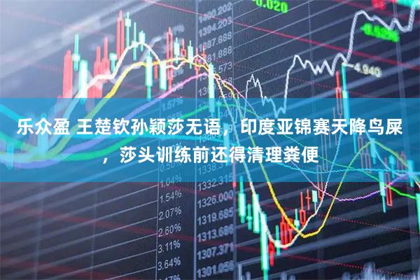 乐众盈 王楚钦孙颖莎无语，印度亚锦赛天降鸟屎，莎头训练前还得清理粪便