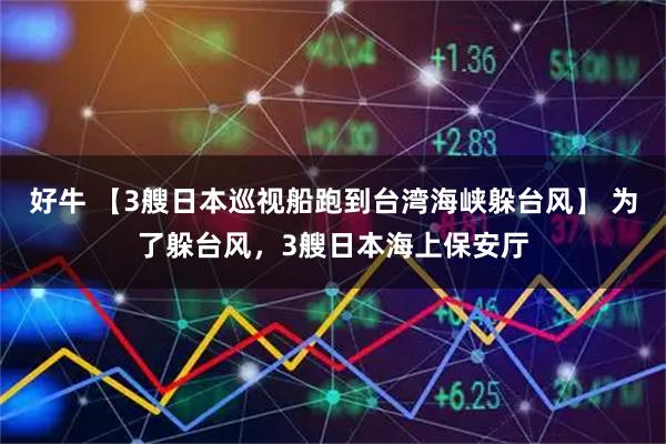 好牛 【3艘日本巡视船跑到台湾海峡躲台风】 为了躲台风，3艘日本海上保安厅